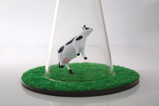 Space cow
