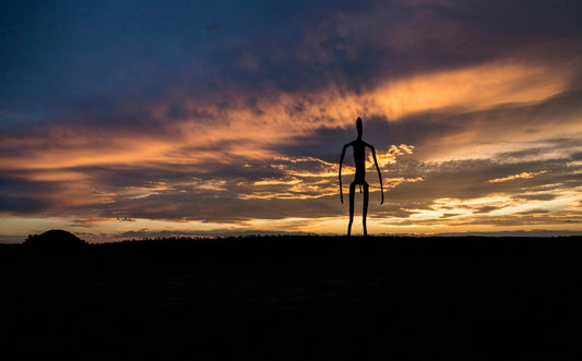 Can Aliens Exist? The Truth Is Out There (Maybe….)