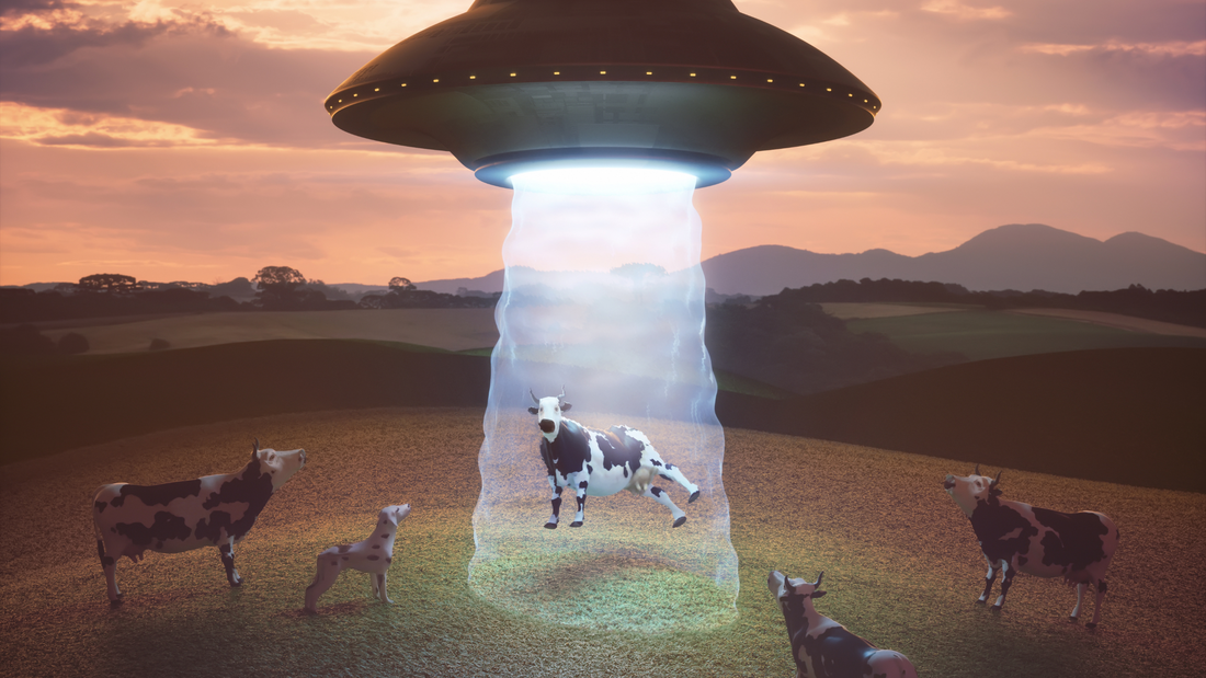 alien abduction of cow